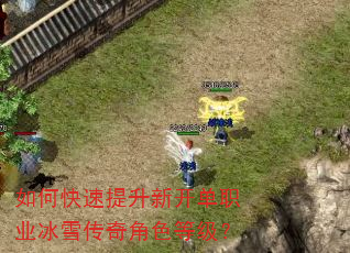 如何快速提升新开单职业冰雪传奇角色等级? 如何快速提升新开单职业冰雪传奇角色等级?