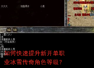 如何快速提升新开单职业冰雪传奇角色等级? 如何快速提升新开单职业冰雪传奇角色等级?