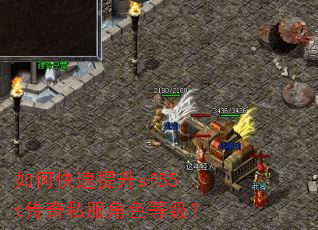 ��ο�������sf55t����˽����ɫ�ȼ���