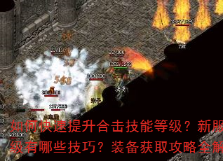 如何快速提升合击技能等级?新服冲级有哪些技巧?装备获取攻略全解析 如何快速提升合击技能等级?新服冲级有哪些技巧?装备获取攻略全解析