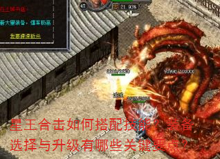 星王合击如何搭配技能?装备选择与升级有哪些关键要点? 星王合击如何搭配技能?装备选择与升级有哪些关键要点?