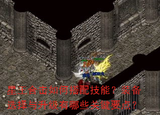 星王合击如何搭配技能?装备选择与升级有哪些关键要点? 星王合击如何搭配技能?装备选择与升级有哪些关键要点?