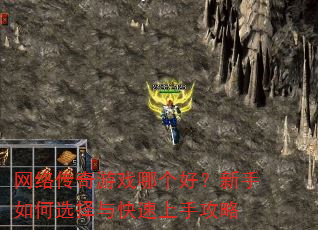 ���紫����Ϸ�ĸ��ã��������ѡ����������ֹ���