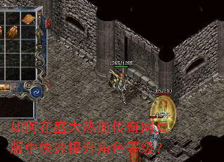 如何在盛大热血传奇网页版中快速提升角色等级? 如何在盛大热血传奇网页版中快速提升角色等级?