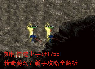 ��ο�������sf175zl������Ϸ�����ֹ���ȫ����