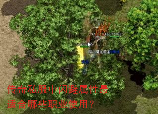 传奇私服中闪避属性最适合哪些职业使用? 传奇私服中闪避属性最适合哪些职业使用?