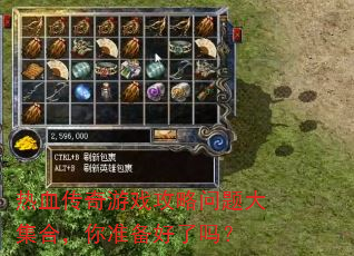 热血传奇游戏攻略问题大集合,你准备好了吗? 热血传奇游戏攻略问题大集合,你准备好了吗?