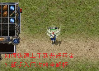 如何快速上手新开好基金?新手入门攻略全解析 如何快速上手新开好基金?新手入门攻略全解析