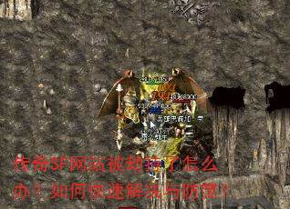 ����SF��վ���ٳ�����ô�죿��ο��ٽ���������