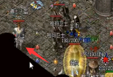 传奇sf道士过强被削弱？是没有神兽相伴吗？