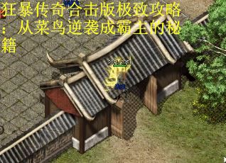 狂暴传奇合击版极致攻略：从菜鸟逆袭成霸主的秘籍