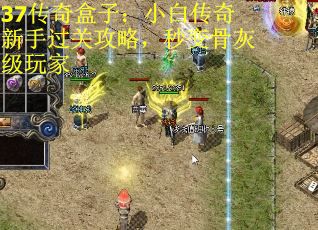 37传奇盒子：小白传奇新手过关攻略，秒变骨灰级玩家