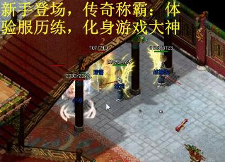 新手登场，传奇称霸：体验服历练，化身游戏大神