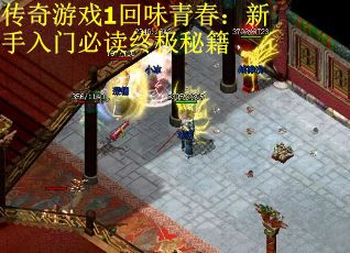 传奇游戏1回味青春：新手入门必读终极秘籍