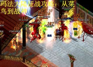 玛法大陆征战攻略：从菜鸟到战神