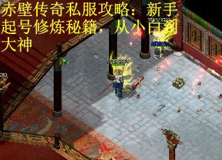 赤壁传奇私服攻略：新手起号修炼秘籍，从小白到大神