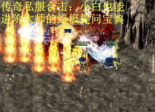 传奇私服合击：小白也能进阶大师的终极提问宝典
