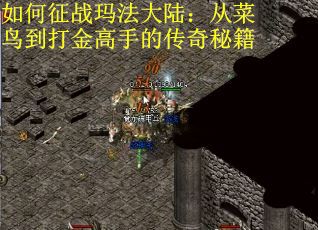 如何征战玛法大陆：从菜鸟到打金高手的传奇秘籍