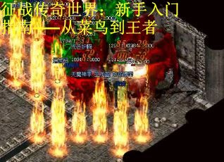 征战传奇世界：新手入门指南——从菜鸟到王者