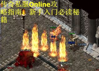 传奇私服Online攻略指南：新手入门必读秘籍