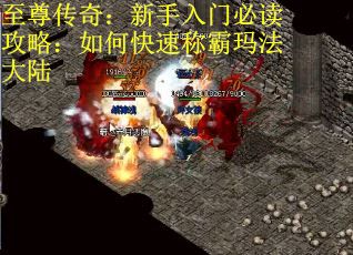 至尊传奇：新手入门必读攻略：如何快速称霸玛法大陆
