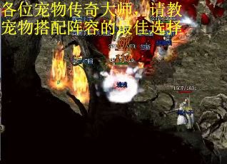 各位宠物传奇大师，请教宠物搭配阵容的最佳选择