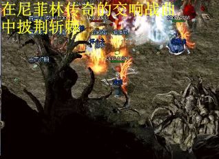 在尼菲林传奇的交响战曲中披荆斩棘