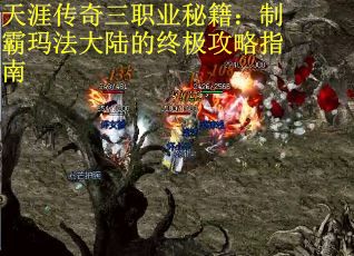 天涯传奇三职业秘籍：制霸玛法大陆的终极攻略指南