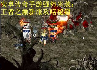 安卓传奇手游强势来袭：王者之巅新服攻略秘籍