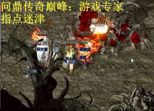 问鼎传奇巅峰：游戏专家指点迷津
