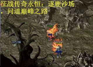 征战传奇永恒：逐鹿沙场，问道巅峰之路