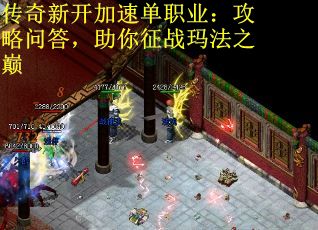 传奇新开加速单职业：攻略问答，助你征战玛法之巅