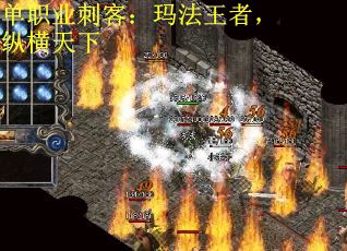 单职业刺客：玛法王者，纵横天下