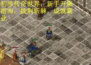 初涉传奇世界：新手开服指南，披荆斩棘，成就霸业
