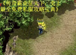 《传奇霸业征天下：史上最全免费私服攻略宝典》