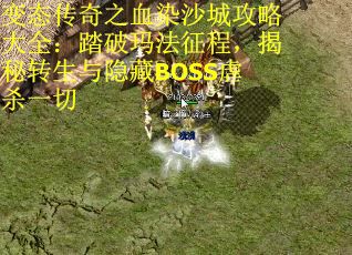 变态传奇之血染沙城攻略大全：踏破玛法征程，揭秘转生与隐藏BOSS虐杀一切