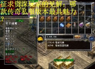 征求资深玩家的见解：哪款传奇私服版本最具魅力？