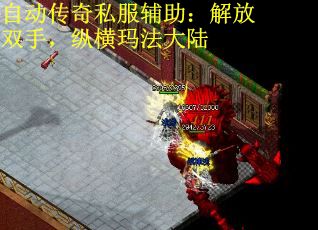 自动传奇私服辅助：解放双手，纵横玛法大陆