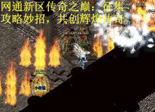 网通新区传奇之巅：征集攻略妙招，共创辉煌传奇