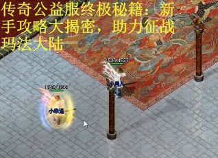 传奇公益服终极秘籍：新手攻略大揭密，助力征战玛法大陆