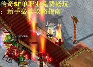 传奇SF单职业免费畅玩：新手必读攻略指南