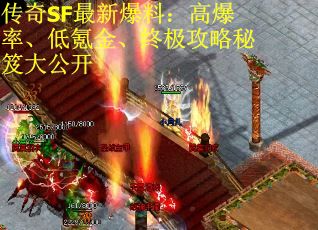 传奇SF最新爆料：高爆率、低氪金、终极攻略秘笈大公开