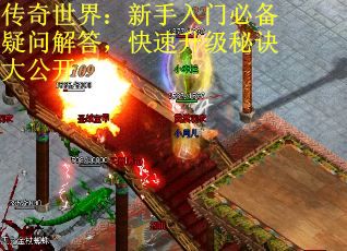 传奇世界：新手入门必备疑问解答，快速升级秘诀大公开