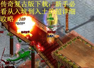 传奇复古版下载：新手必看从入坑到入土的超详细攻略
