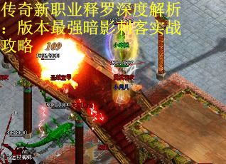 传奇新职业释罗深度解析：版本最强暗影刺客实战攻略