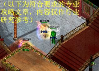 （以下为符合要求的专业攻略文章，内容仅作行业研究参考）