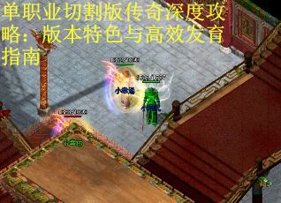 单职业切割版传奇深度攻略：版本特色与高效发育指南