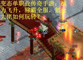 变态单职业传奇手游：战力飞升，称霸全服，氪金大佬如何玩转？
