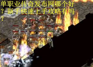 单职业传奇发布网哪个好？新手快速上手攻略有吗？