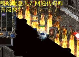 嘎哈玩意儿？网通传奇咋升级快？